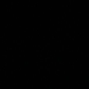 Meet your Posher, Simone